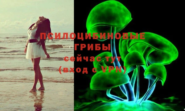 стафф Козловка